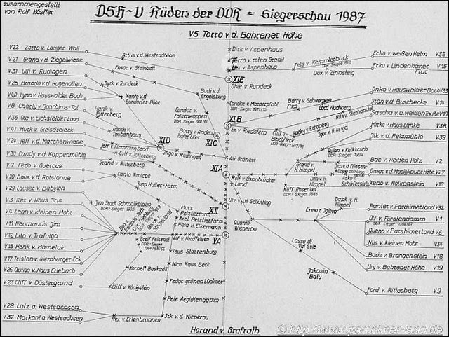 DDR German Shepherd pedigree